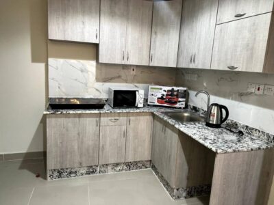 Spacious 1 Bedroom Apartment for Rent near Financial Centre Metro